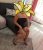 İzmit escort bayan Duygu - Image 21